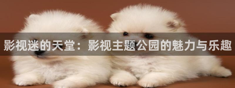 不卡的av电影每日更新