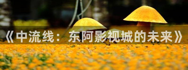 我不卡影院在线播放
