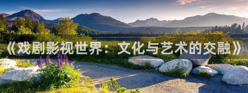 亚洲高清成人不卡