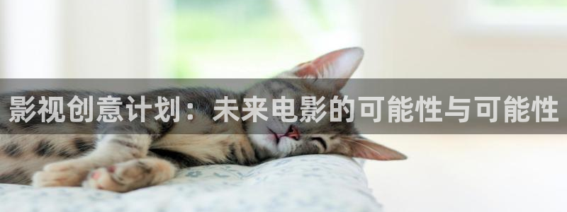 神马电影院你卡我不卡