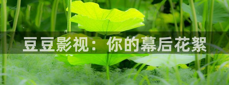 在线高清日本不卡网站