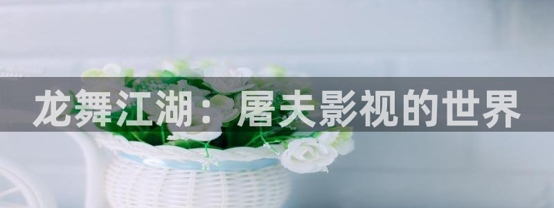 一道本免费视频不卡