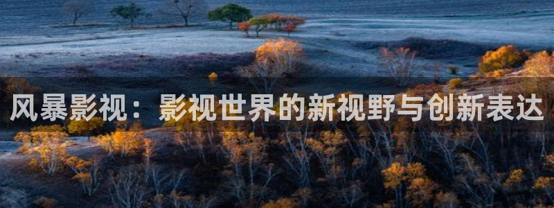 日本片高清不卡：风暴影视：影视世界的新视野与创新表达