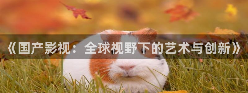 一本在线高清不卡dvd：《国产影视：全球视野下的艺术与创新》