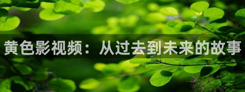 国产高清不卡一区二区三区：黄色影视频：从过去到未来的故事