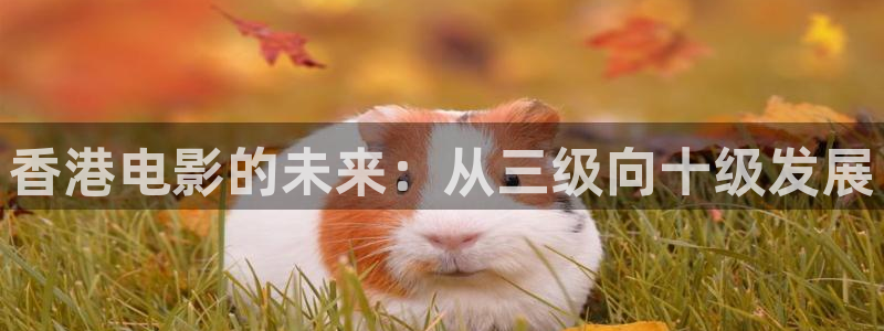 不卡在线播放观看